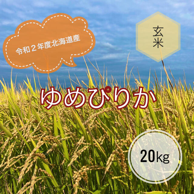 令和２年度北海道産ゆめぴりか　玄米　２０㎏-