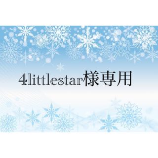 フランスベッド(フランスベッド)の4littlestar様専用　最終お値下げ　【ほぼ新品】 振り袖のみ(振袖)