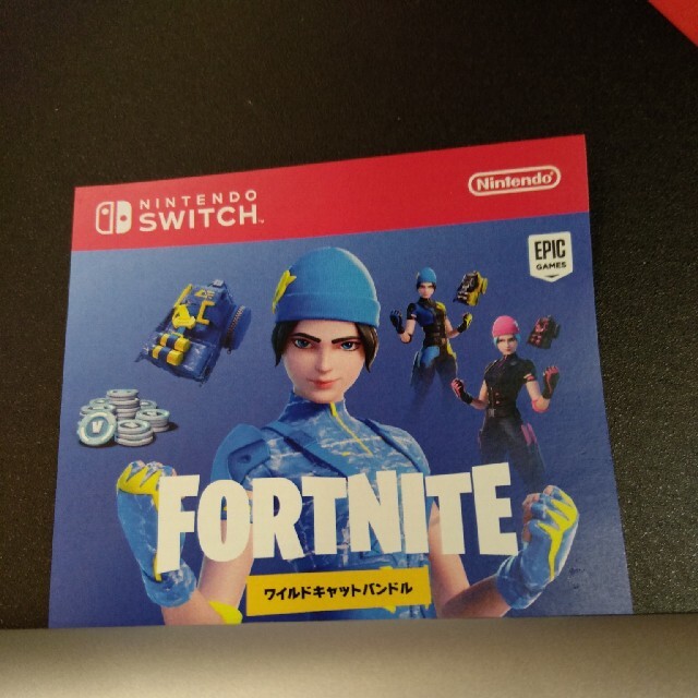 Nintendo Switch - フォートナイト スペシャルセット ワイルド Nintendo Switch - フォートナイト スペシャルセット ワイルド