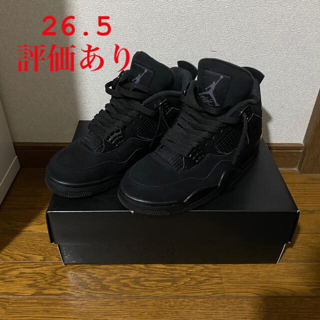 NIKE AIR JORDAN 4 BLACK CAT