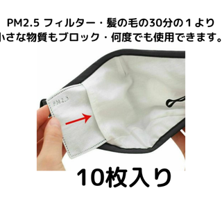 マスク(THE MASK)の超高性能・マスクフィルター  PM2.5 Sサイズ・10枚セット・マスクシート(日用品/生活雑貨)