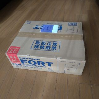 ダンロップ(DUNLOP)のダンロップ フォート　DUNLOP FORT(ボール)