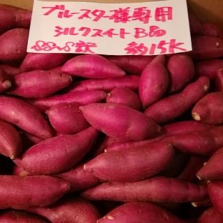 ブルースター様専用　超お得!訳☆オーダー☆貯蔵品シルクスイートB品約15Kです。(野菜)