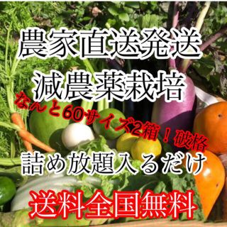 冬野菜詰め合わせ破格60サイズ2箱‼️ダンボール入るだけ(野菜)