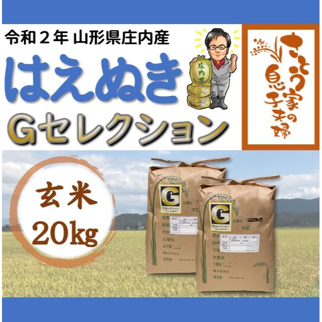 つや姫新米　山形県庄内産　食べ比べセット　玄米20kg　Ｇセレクション