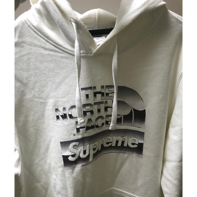 Sup TNF Metallic Logo Hooded Sweatshirt