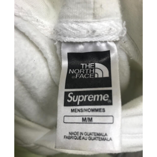 Sup TNF Metallic Logo Hooded Sweatshirt