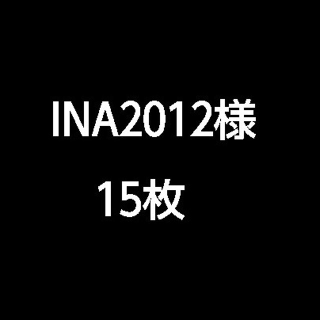 INA2012  15枚