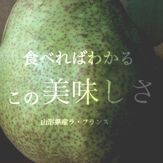 ・数量限定・お得!!『送料無料』山形県産/訳あり/ラ・フランス/5㌔ 食品/飲料/酒の食品(フルーツ)の商品写真