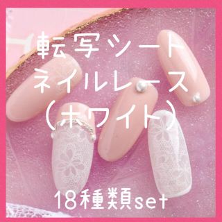 転写ホイル ネイルレース ホワイト 18種類set(ネイル用品)