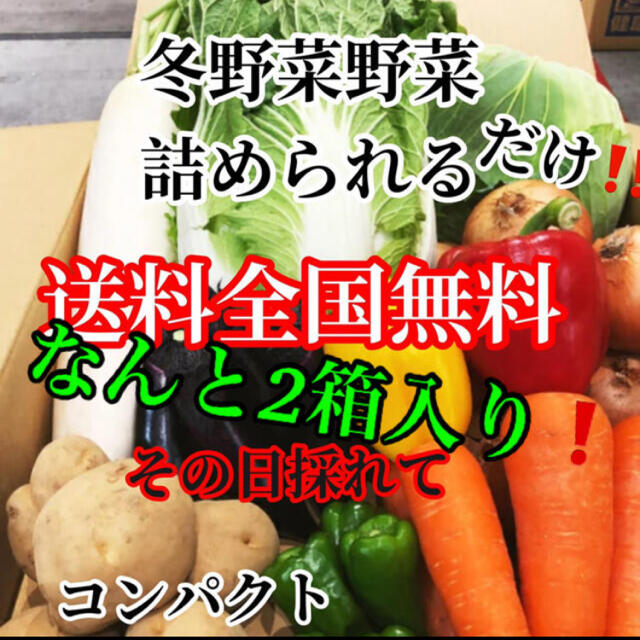 なんと2箱入り❗️農家直送野菜コンパクト入る分だけ詰めます送料無料 食品/飲料/酒の食品(野菜)の商品写真