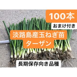 カッパさん用！！100本(野菜)