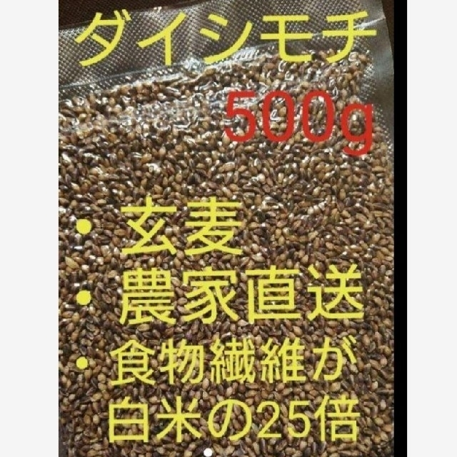 ダイシモチ 玄麦 食品/飲料/酒の食品(米/穀物)の商品写真