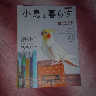 小鳥と暮らす かわいいインコ・ブンチョウたちがいるしあわせ生活、(住まい/暮らし/子育て)