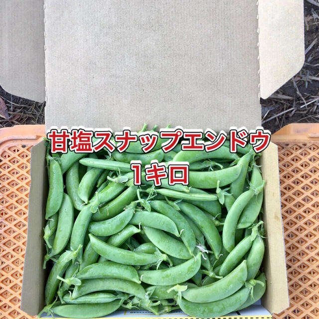 【鹿児島産】甘塩スナップエンドウ箱込み1キロ^_^ 食品/飲料/酒の食品(野菜)の商品写真