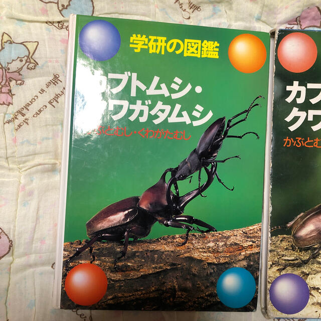 学研 カブトムシ クワガタムシの通販 By ヒナs Shop ガッケンならラクマ