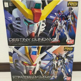 バンダイ(BANDAI)のガンプラ RG デスティニー ストライクフリーダム(模型/プラモデル)