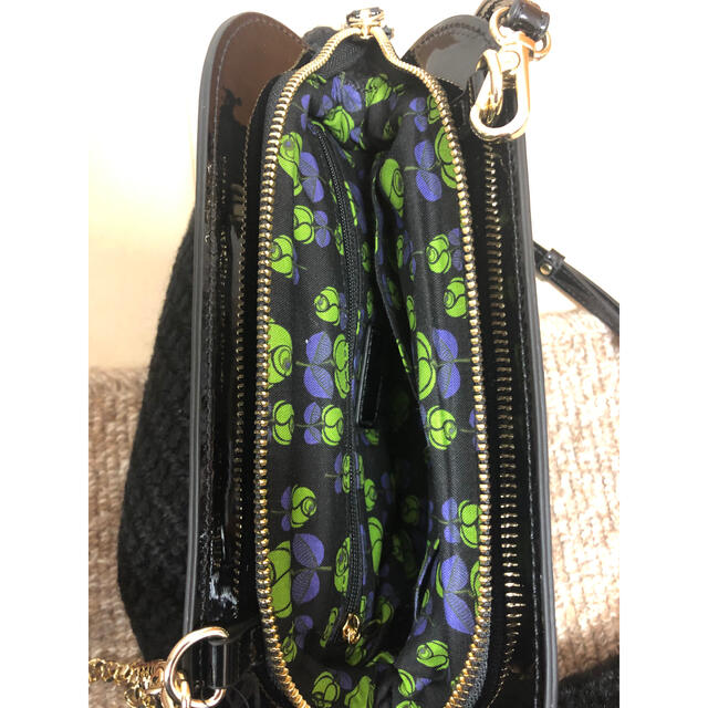ANNA SUI(アナスイ)のANNA SUI ショルダー　ポーチ レディースのバッグ(ショルダーバッグ)の商品写真