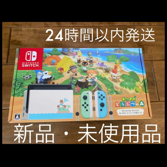 任天堂SwitchNintendo Switch あつまれ どうぶつの森セット