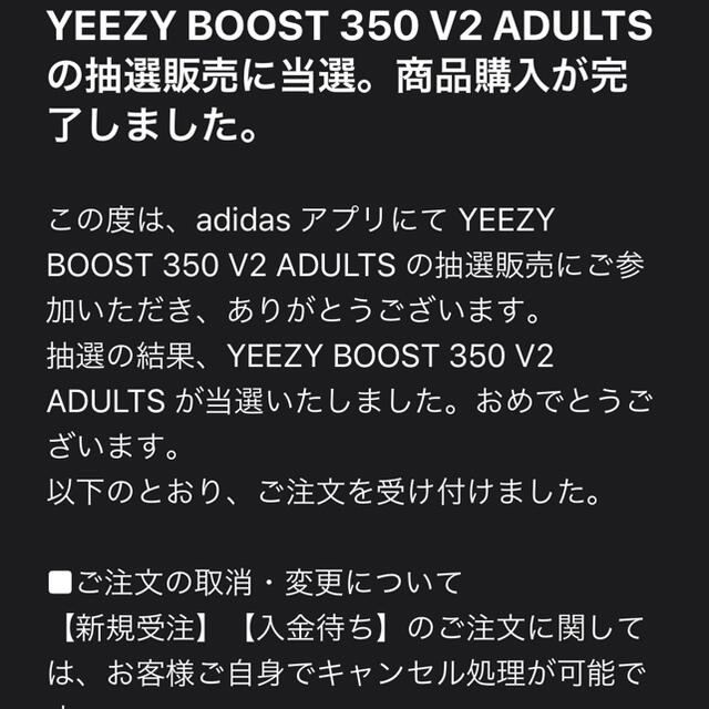 YEEZY BOOST 350 V2 ADULTS  27cm