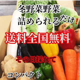 激安❗️農家直送野菜コンパクト入る分だけ詰めます送料無料(野菜)