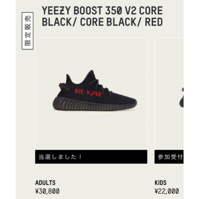 adidas yeezy boost 350 v2 core black