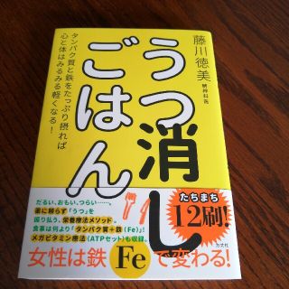 うつ消しごはん タンパク質と鉄をたっぷり摂れば心と体はみるみる軽く(健康/医学)