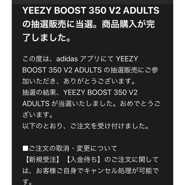 adidas(アディダス)のyeezyboost350v2 ブレッド メンズの靴/シューズ(スニーカー)の商品写真