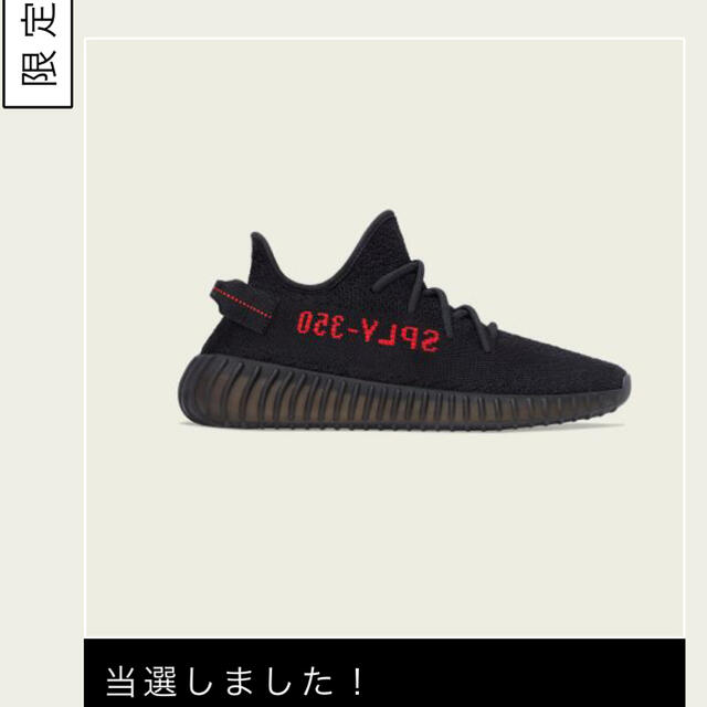 ADIDAS YEEZY BOOST 350 V2   ２７cm