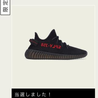 アディダス(adidas)のADIDAS YEEZY BOOST 350 V2   ２７cm(スニーカー)