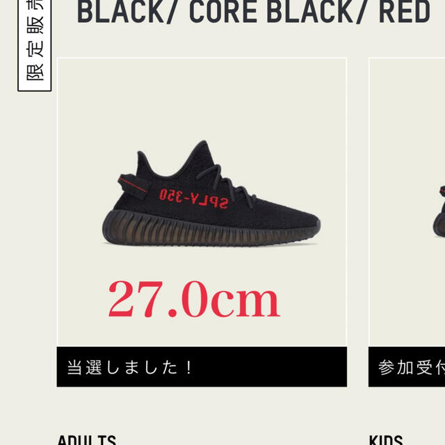 adidas(アディダス)のyeezy boost 350 v2 core black bred メンズの靴/シューズ(スニーカー)の商品写真