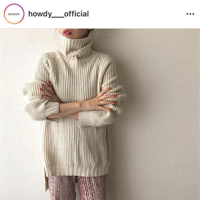 HOWDY. turtle knit
