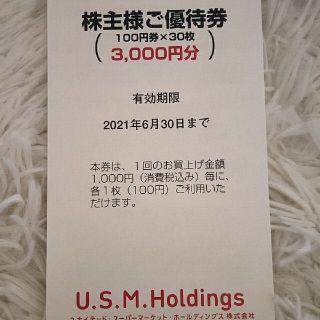 USMH 株主優待券　3000円分(ショッピング)