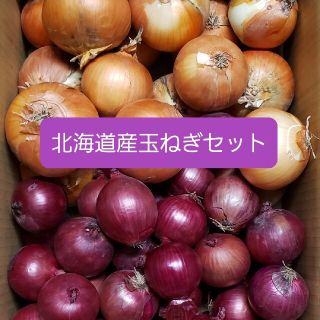 北海道産玉ねぎ＋赤玉ねぎ【アーリーレッド】セット　各５キロ　約１０キ(野菜)