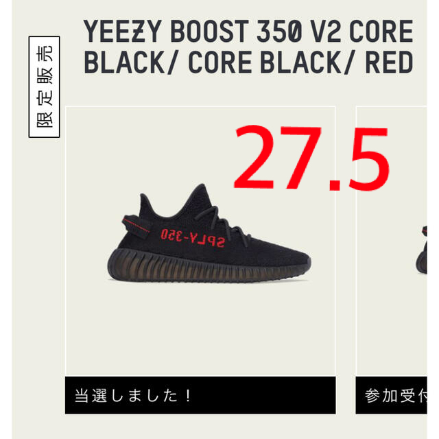 adidas(アディダス)のYEEZY BOOST 350 V2 ADULTS メンズの靴/シューズ(スニーカー)の商品写真