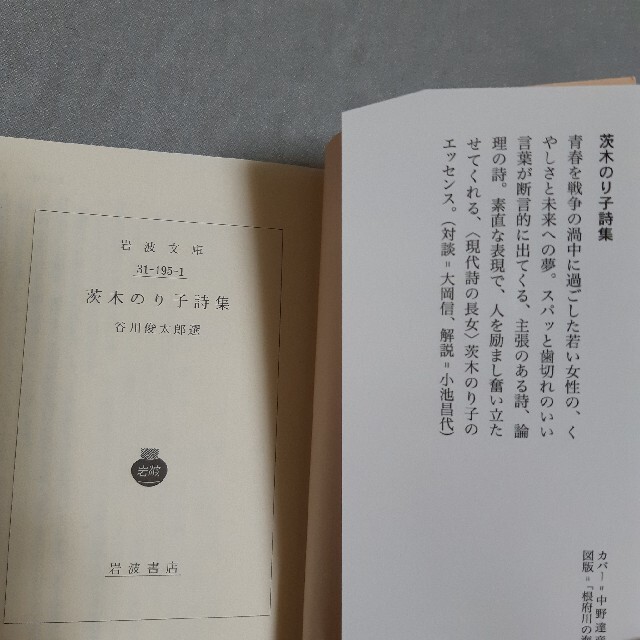 茨木のり子詩集 エンタメ/ホビーの本(文学/小説)の商品写真