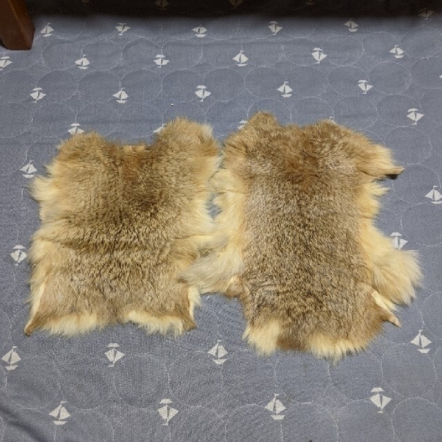 【毛皮原皮】ラビットファー 6枚 レディースのジャケット/アウター(毛皮/ファーコート)の商品写真