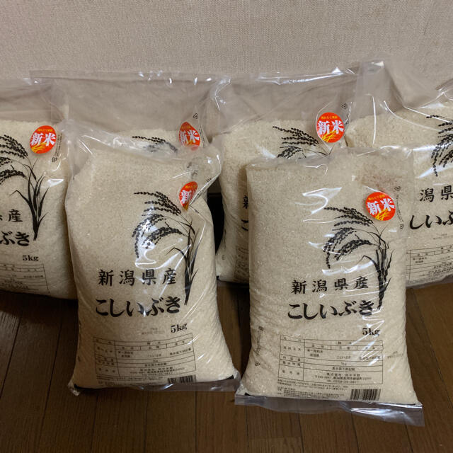 新潟産　精米】令和2年産　30kg(5kg×6）　米/穀物　新米　こしいぶき