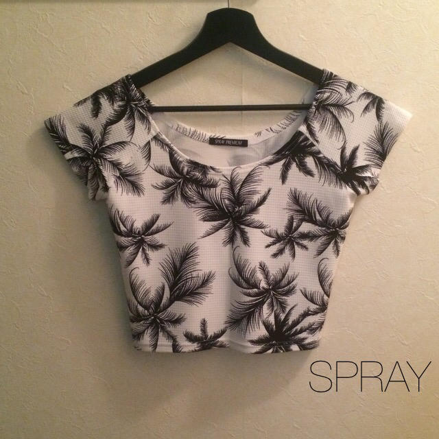 SpRay(スプレイ)のパームツリートップス レディースのトップス(Tシャツ(半袖/袖なし))の商品写真