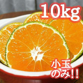 19評価実績1300件！コスパ◎早生みかん 10kg ミカン農家直送(フルーツ)