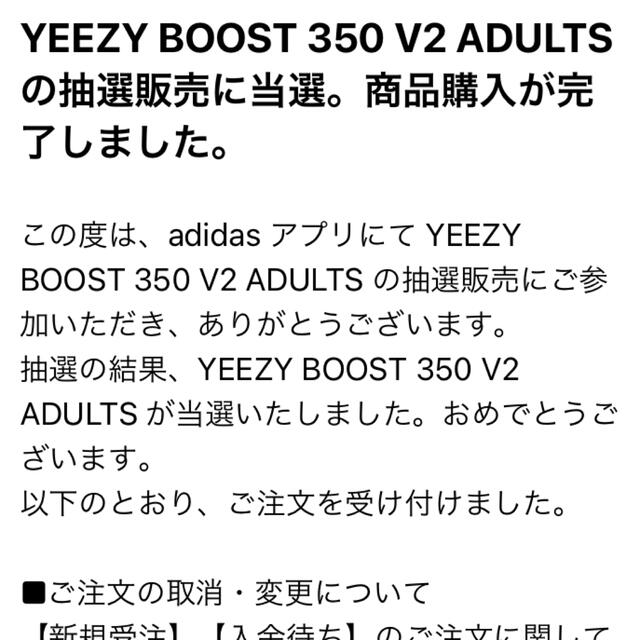 adidas(アディダス)のYEEZY BOOST 350 V2 BRED 26cm 国内正規品　新品未使用 メンズの靴/シューズ(スニーカー)の商品写真