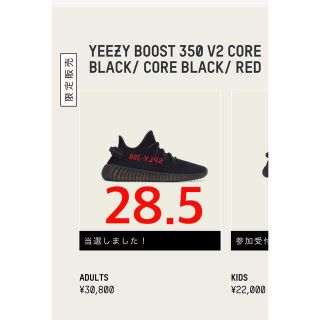 アディダス(adidas)のYEEZY BOOST 350 V2 ADULTS サイズ28.5(スニーカー)