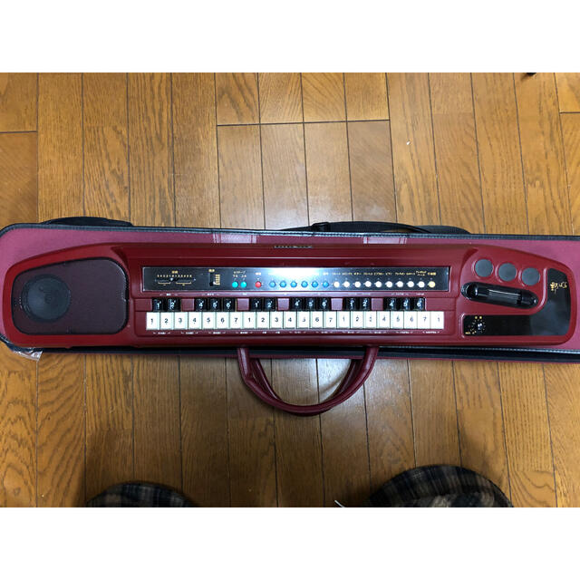 電子大正琴 野ばら スズキ - 大正琴