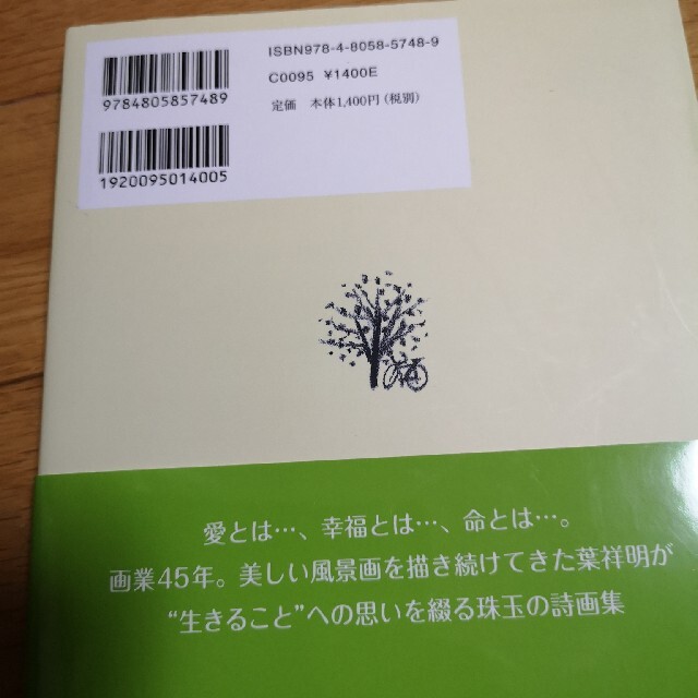 葉祥明　Ｌｉｆｅ　ｉｓ　 人生を彩る幸福のエッセンス エンタメ/ホビーの本(文学/小説)の商品写真