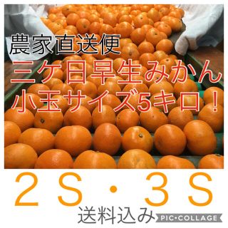 訳あり三ケ日みかん　小玉5キロ(箱の重さ込)(フルーツ)