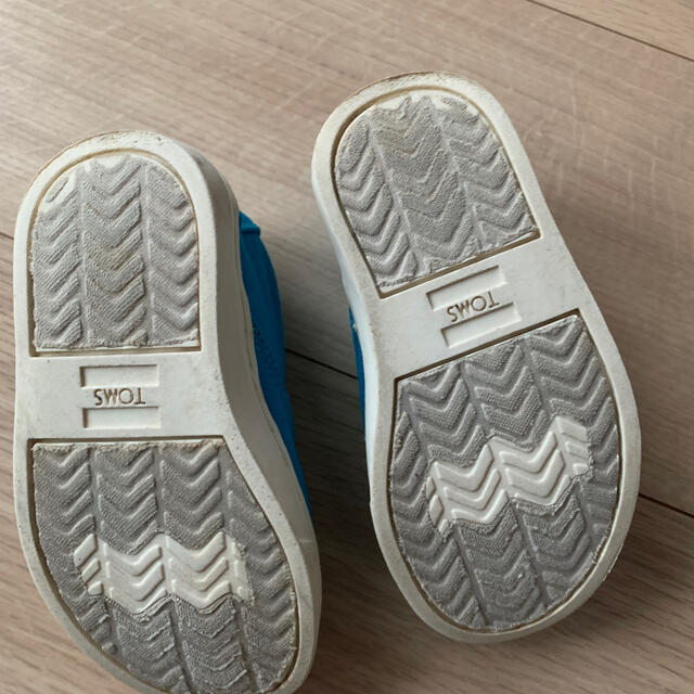 TOMS クッキーモンスター 13cm 箱なし