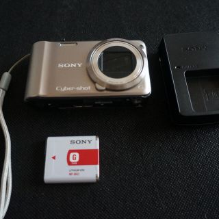 ソニー(SONY)のSONY サイバーショット DSC-HX5(コンパクトデジタルカメラ)