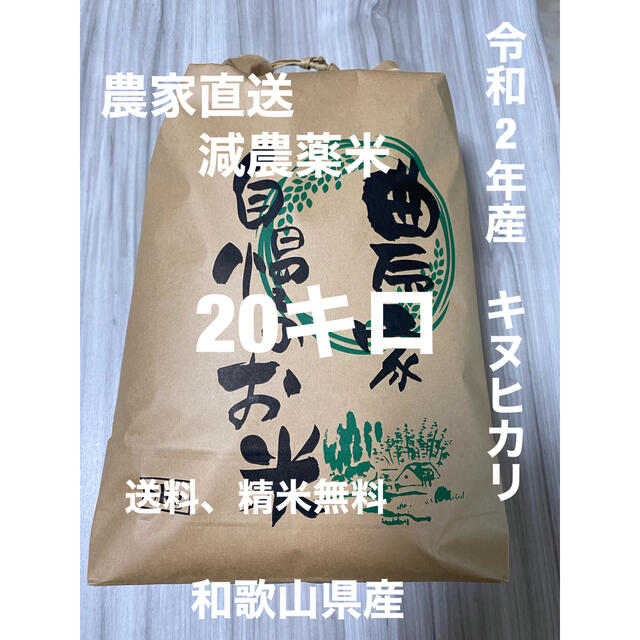 食品/飲料/酒キヌヒカリ 玄米 20kg 和歌山県産