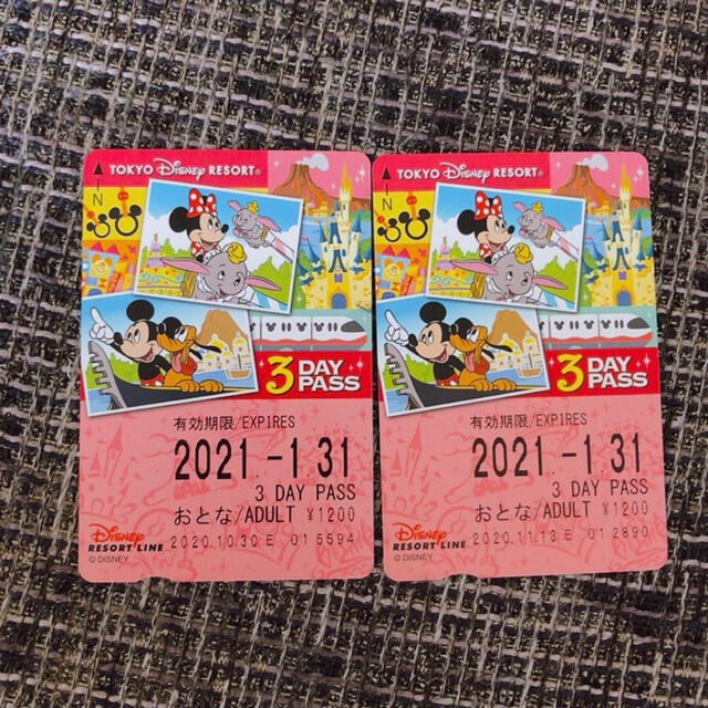 Disney(ディズニー)の未使用　ディズニーリゾートライン　3days パス　２枚 チケットの施設利用券(遊園地/テーマパーク)の商品写真