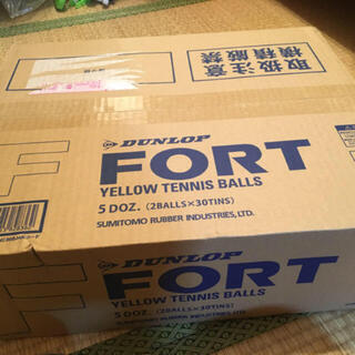 ダンロップ(DUNLOP)のテニス　ダンロップ　フォート60球 30缶　11月購入　新品(ボール)
